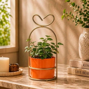 Support de plante en forme d'arche en fil doré luxueux et romantique avec pot en métal orange vibrant pour une décoration de salon charmante - Product Image 1