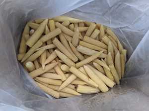 Maíz Bebé Congelado de Vietnam, Vegetal Natural para Recetas de Salteados, Sopas, Ensaladas, Hot Pots, Uso en Catering y Servicios de Alimentos - Product Image 5
