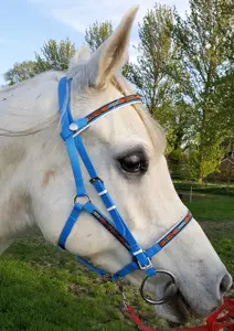 ZEN HORSE WORLD BIOTHENE Brida para Caballo Ligera e Impermeable BD-117, Cabestros de Resistencia, Fácil de Limpiar, Herrajes Duraderos, Ajustable - Product Image 2