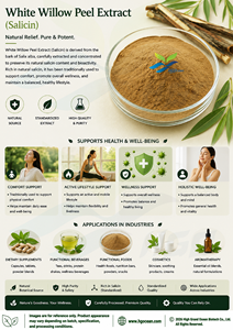 Extrait de peau de saule blanc naturel de qualité alimentaire, fourni directement par l'usine HGO, extrait standardisé de salicine à 15%-98% - Product Image 3