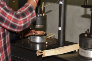 Assiettes et bols en feuilles de palmier écologiques Vaisselle jetable naturelle pour la restauration et les événements Vente en gros en provenance du Vietnam - Product Image 5