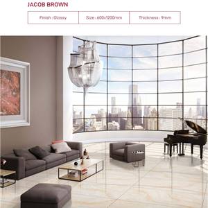 Azulejo de Porcelana Pulido GRIGIO BROWN First Choice Onyx 24x48, Superficie Brillante, Azulejos Vitrificados, Apartamento Moderno, Cerámica Novac - Product Image 5