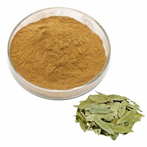 Extrait de feuille de séné de qualité supérieure 10:1, poudre de séné de qualité alimentaire pour le soutien digestif, approvisionnement en vrac, poudre de feuille de séné finement moulue - Product Image 4