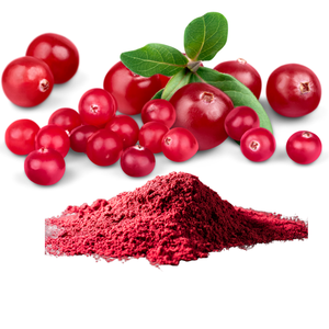 Poudre d'extrait de canneberge 25% Proanthocyanidines UV |   Extrait de Vaccinium Macrocarpon |   Fournisseur en gros - Product Image 3