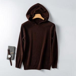 Pull à capuche en tricot uni pour homme, coupe classique, marron, pour l'automne - Product Image 1