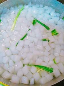OEM FRUIT FLAVORED NATA DE COCO | POPULAR BUBBLE TEA TOPPING COCONUT <b>JELLY</b> WHOLESALE - Product Image 6
