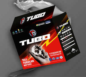 Batterie tubulaire haute 12V 120AhC10, certifications de conformité pour l'exportation, solutions de transport pour l'exportation de batteries tubulaires - Product Image 2