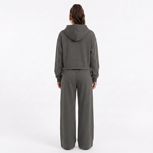 Ensemble molletonné gris à capuche pour femme, coupe décontractée, 2 pièces, sweat-shirt à manches longues et pantalon de jogging, couleur unie, pour l'hiver, usage quotidien, 100% coton - Product Image 2