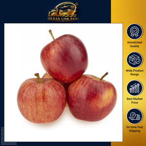 Pommes rouges fraîches de qualité supérieure, sucrées, croustillantes et juteuses, pour la vente en gros, au détail et l'exportation - Product Image 2