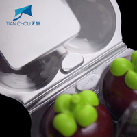Conteneurs d'emballage de fruits en plastique recyclé PET carré personnalisés pour mangoustan pour orange fraise raisin et plus