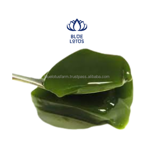 เจลลี่หญ้าเขียว GEM - Product Image 1