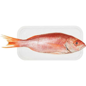 Pescado al por mayor: Tilapia roja fresca congelada y pargo rojo para compradores de tilapia. - Product Image 6