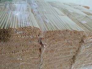 Pajitas de Bambú de Vietnam al por Mayor, 99 Gold Data, Ecológicas, Reutilizables, Biodegradables, Reciclables, de 200 mm de Longitud - Product Image 2