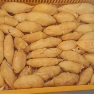 Durian Congelado 2026 - Sabor Fresco, Procesamiento IQF, Exportación - Product Image 1