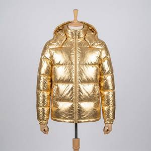 Blouson matelassé brillant pour homme, col montant, fermeture éclair dorée métallisée, chaud, à capuche, pour l'extérieur, collection automne - Product Image 1