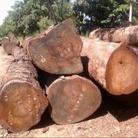 Bûches de bois d'ébène / bois de teck - Bûches rondes de 500-600 mm à vendre