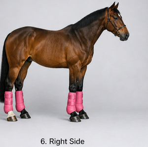 Bottes de protection équestres tendance en néoprène pour l'équitation – Respirantes, amortissantes, durables – Protection des jambes – Service OEM - Product Image 5