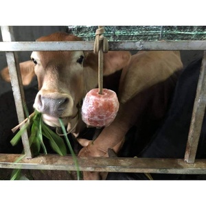 Trozos de sal del Himalaya Animal del Himalaya Lick 100% Sal natural de grado alimenticio - Product Image 4