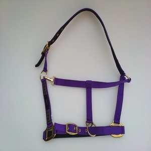 Harnais miniature en nylon pour cheval avec ferrures en laiton pour l'équitation, l'écurie et l'entraînement, fabriqué à Kanpur, Inde - Product Image 2