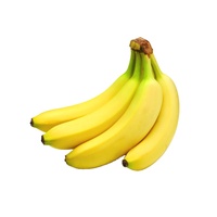Premium Verse Cavendish Bananen Van Hoge Kwaliteit Boerderij Geteeld, Groothandel Voor Exportmarkten