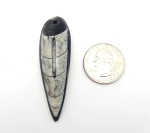 Top Drilled Orthoceras Long Pear Shape Teardrop Cabochon to make wire wrap pendant <b>locket</b> macrame jewelry - Product Image 2