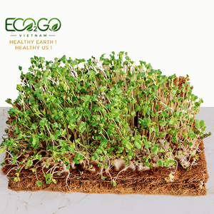Produit CHAUD COIR MAT/PALM MAT Solutions de forme écologiques: 100% fibre de coco fibre de coco maille prix le moins cher pour l'ombre de décoration - Product Image 1