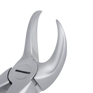 Pinzas de Extracción Atraumática para Molares Inferiores Cowhorn 23, Instrumento Quirúrgico Dental de Acero Inoxidable para Extracción de Dientes - Product Image 4