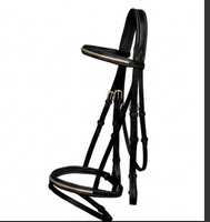 Bridon en cuir pour cheval avec sangle de nez à boucle et garniture dorée, équipement d'équitation durable TAK Equestrian HB1902