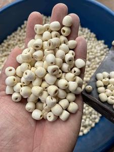 Graines de lotus séchées-Un ajout savoureux aux soupes, thés et desserts-BLUELOTUS - Product Image 3