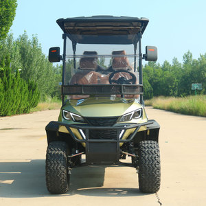 2 4 6 8 chỗ ngồi off road Golf giỏ hàng xe điện với Curtis điều khiển săn bắn Golf giỏ hàng điện Golf Scooter - Product Image 4