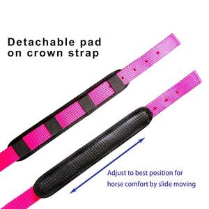 Harnais tissé pour cheval avec boucles dorées et sangles réglables en plusieurs couleurs pour l'équitation - Product Image 4