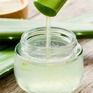 Proveedor Mayorista de Gel de Extracto de Aloe Vera Hidratante para el Cuidado de la Piel Después del Sol, Volumen a Granel - Product Image 1