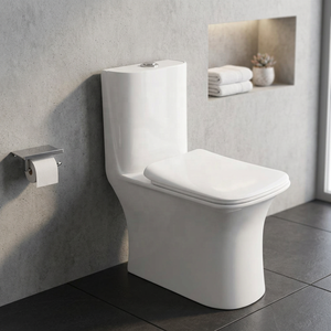 Inodoro Cerámico de Una Pieza de Alto Rendimiento con Sifón y Taza Alargada para la Infraestructura Sudamericana - Product Image 2