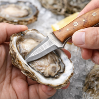 Couteau à huîtres en bois en gros avec étui, outils pour fruits de mer, ouvre-coquillages, accessoires de cuisine écologiques, compatibles micro-ondes
