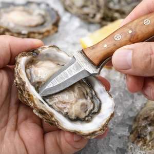 มีดแกะหอยนางรมพร้อมปลอกไม้ ขายส่ง อุปกรณ์เปิดอาหารทะเล อุปกรณ์ครัว เป็นมิตรกับสิ่งแวดล้อม ใช้กับไมโครเวฟได้ - Product Image 5