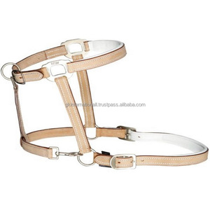 Cabestro de caballo de cuero genuino acolchado blanco de lujo con hebilla de latón de doble corona resistente y tocado y barbilla ajustable - Product Image 5