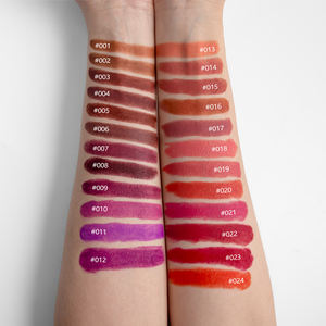 24 Colors Matte Velvet <b>Lipstick</b> Private Label Set Long-Lasting Non-Dry Velvety Lip Color Full Coverage Makeup Kit - Product Image 5