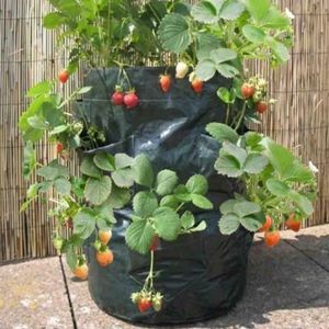 Sac de culture vertical en tissu HDPE de haute qualité pour fraises, 8 poches, 36x46cm, réutilisable - Product Image 4