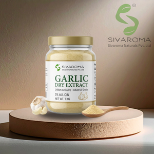 Extracto Seco de Ajo en Polvo para Suministro B2B en la Industria Alimentaria, Formulaciones Culinarias y Desarrollo de Productos Comerciales - Product Image 5