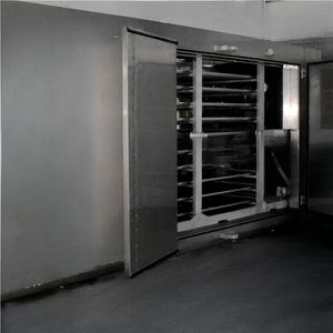 Congélateur spirale pour fruits de mer et viandes, solution de congélation rapide pour une fraîcheur et une conservation optimales, cuisines commerciales -40°C - Product Image 3