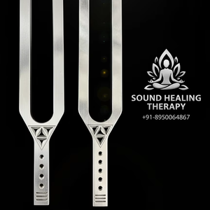 Diapason géant D288HZ pour la guérison et la méditation, instrument de musique très demandé, par Earth Tuned - Product Image 1