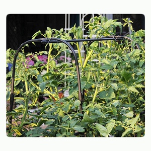 Arche de jardin en métal de 1,5 m de haut pour concombres et pois, treillis de jardinage - Product Image 5