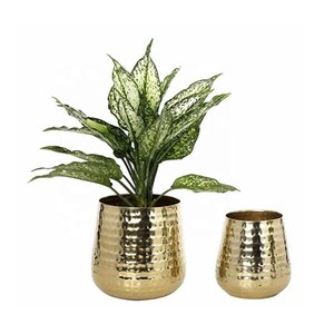 Maceta de Metal Dorada con Recubrimiento Electrolítico, Maceta Decorativa, Porta Plantas Elegante, Florero para Sala de Estar y Oficinas - Product Image 5