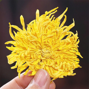 Té de Hojas Sueltas de Crisantemo Dorado de Alta Calidad - Flores Secas Aromatizadas, Té Crudo Natural Detoxificante y Refrescante a Granel - Product Image 6