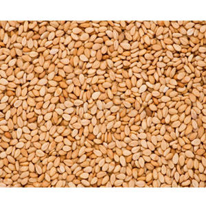Whole <b>Black</b> Sesame Seeds Bulk <b>Raw</b> Food Ingredient Natural Agriculture Product - Product Image 4