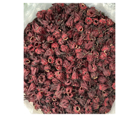 Pemasok Bunga Hibiscus Segar Premium Vietnam - Bahan Herbal Rosella Berkualitas Tinggi, Umur Simpan 12 Bulan, Grosir untuk Ekspor