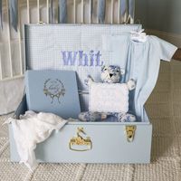 Coffre de rangement pliable en métal, élégant bleu, pour la maison, les loisirs créatifs, les jouets, les accessoires de mode, les bijoux et les chaussures
