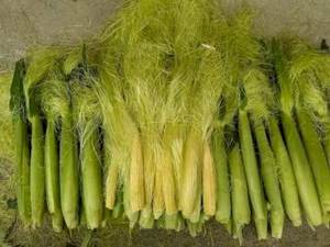 Maïs sucré en vrac bon marché sain, surgelé, mélange de légumes - Product Image 6