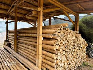 Eco Bamboo Poles de VietnamVietnam Bamboo Poles Exportateur | Durable, droit et écologique-Wholesale & Bulk Supply - Product Image 4