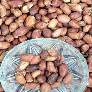 Arachides Grillées Indiennes Premium Nouvelle Récolte Fraîche pour les Marchés Internationaux de Gros Emballage en Vrac Vente au Détail - Product Image 6